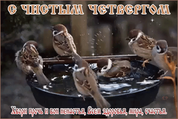 ca78ded6ef3f4dfb3327b52c224be313.gif