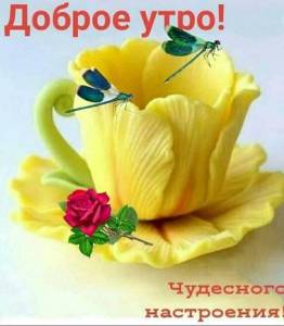 d714e7f6f9f6ed25b479eabdb6020f45.jpg
