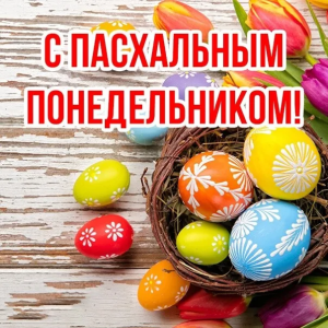 daa8e4a7-25fb-4602-9005-51ba56576496.png