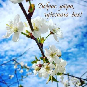 dobroe-mayskoe-utro-39.jpg
