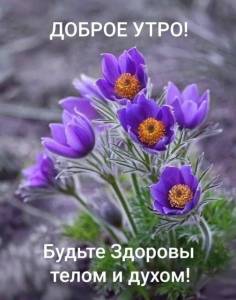 f022764776d7b6b643e3b5156ee52fc9.jpg