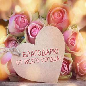 f07e8453f6b312d4d98ecd8d01d3964a.jpg