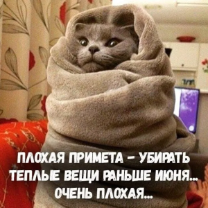 f6343935-9cd9-4203-9cf2-8ddbf7b84350.png