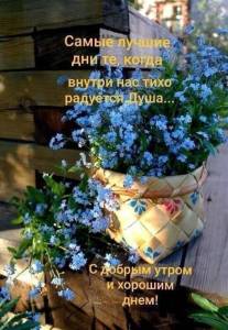 f721278c301ff81573fa0939c2f61e0a.thumb.jpg.e793fd07ef53fd6d4dcc7fb8cf9aee34.jpg
