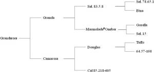 full-1401fig1.jpg