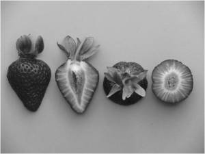 full-1401fig3.jpg
