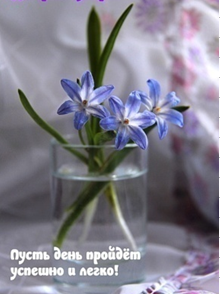 image.png.034707362dacc735539a351b5bc4af91.png
