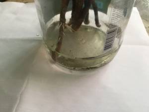 image.thumb.jpeg.2b249b981dfc095194b13bf5a3c0eab8.jpeg