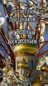 image.thumb.png.0334819d7c77823f5c232f43efa30b0b.png