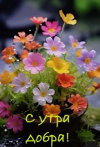 image.thumb.png.06044ea0a75095c944bb19324aade393.png
