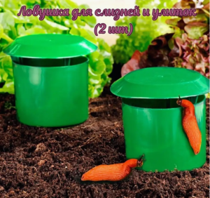 image.thumb.png.1050dd6812f869e80c97995fdb33e371.png