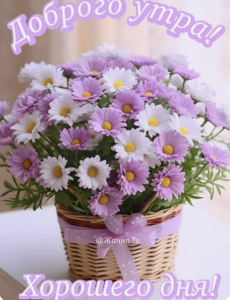 image.thumb.png.18ab049d994dc406a7bfb6ac5a35c495.png