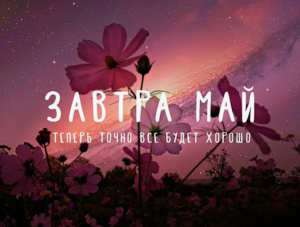 image.thumb.png.193cf48ad0f50e9ee74b783ed256b151.png
