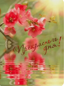 image.thumb.png.438b04f2f0147c2f3188ad6fd7ba34e6.png