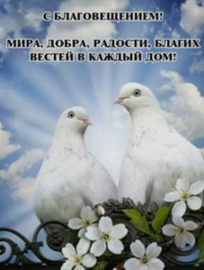 image.thumb.png.57b7c6fa9c70734932cb50d14088680f.png