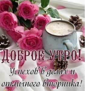 image.thumb.png.7daaf5d0083a32bf1030a3e098186768.png