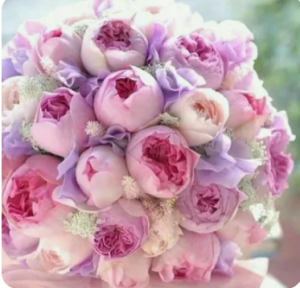 image.thumb.png.8a61dc5c589d0657e0046104970cd8e7.png