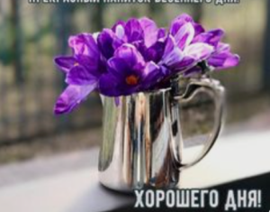 image.thumb.png.8b71f7c03483eac807ec1d1b4b0b4345.png