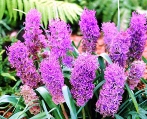 image.thumb.png.92d5aecc45b23aa86641d0b5036891d7.png
