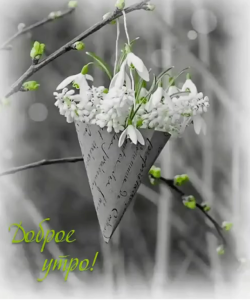 image.thumb.png.ba28acc9217de10ed36efcb25e9eb6ad.png