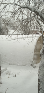 image.thumb.png.c3f2a7ac253925bc8cd031344524bfe8.png