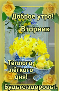 image.thumb.png.cf41962426ca065c3ed878ff688e8fb9.png