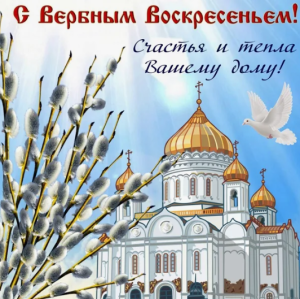 image.thumb.png.d4b9ff6c95283cdae426886bf94a42ca.png