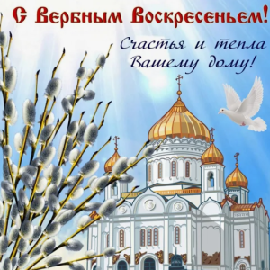 image.thumb.png.d9915b2ecf5ebe6f532f45596e228d46.png