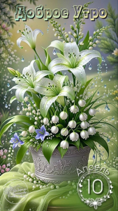 image.thumb.png.db4bb0eeff33389c7e9c72c24fb4a834.png