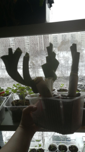 image.thumb.png.dd4f0b7e932f13f354b96289946cea16.png