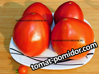 large.323850249_0DSCN0087.png.6dd9c970e111c18be5146418a9a3f445.png