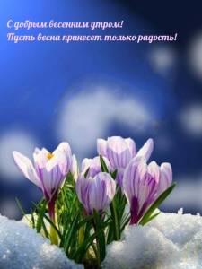 rupix_ru_6911.jpg