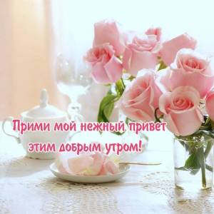 rupix_ru_7273.jpg