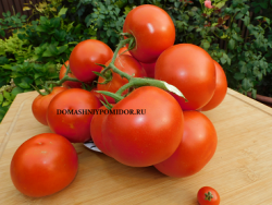 1 нада DSCN0263.png