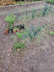 В гостях у подруги 22/04/25
