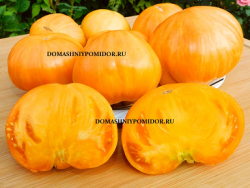 1бигли SCN4386.png