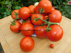 1 нада DSCN0255.png