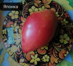 Compress_20250425_003212_2664.jpg