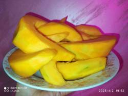 IMG_20250402_195218.jpg