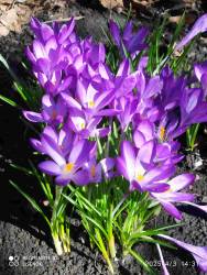 IMG_20250403_143123.jpg