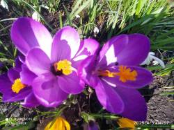 IMG_20250403_145705.jpg