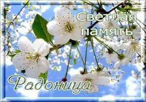 svetlaya-pamyat-radonica.jpg
