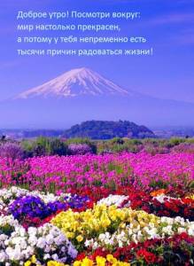 utradobrogo_ru_10655.jpg