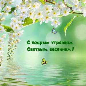 utradobrogo_ru_725.jpg
