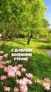 utradobrogo_ru_818.jpg