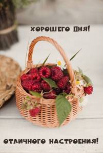 utradobrogo_ru_9575.jpg