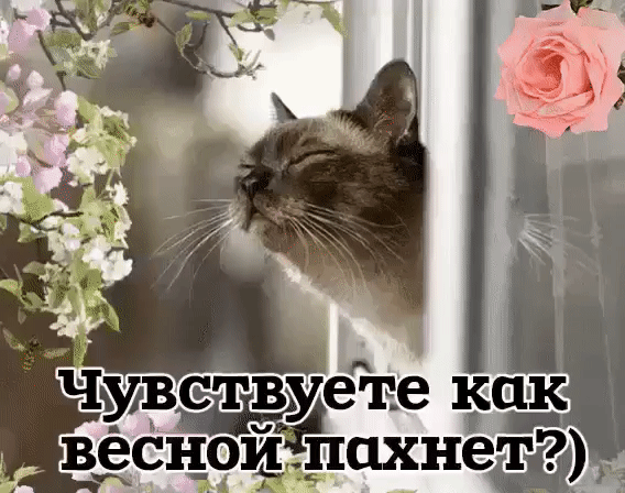 vesennie-peyzazhi-na-otkrytkah-otkrytki-na-kotoryh-izobrazhena-vesna-cvety-podsnezhniki-bukety-127.gif
