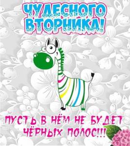 02c49682539277a336b2d65f0f0ece17.thumb.jpg.469a8110e6757182a6243ef43add1235.jpg