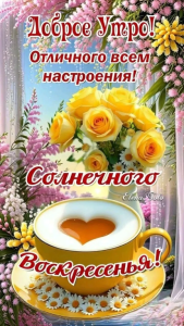 041ce20e-c04d-44a5-8f9a-e9b1f97e9ee0.png