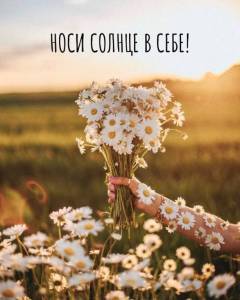 0a59df50c54a1dd7394eacb9fcb31d1d.thumb.jpg.91b1bbb34987cfb2cf18733c7ad23298.jpg